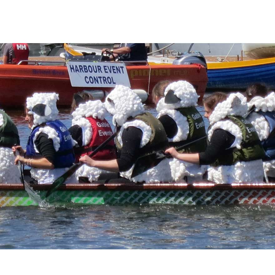 Wards ‘Baarmy army’ 2015 Dragon Boat race fancy dress winners banner