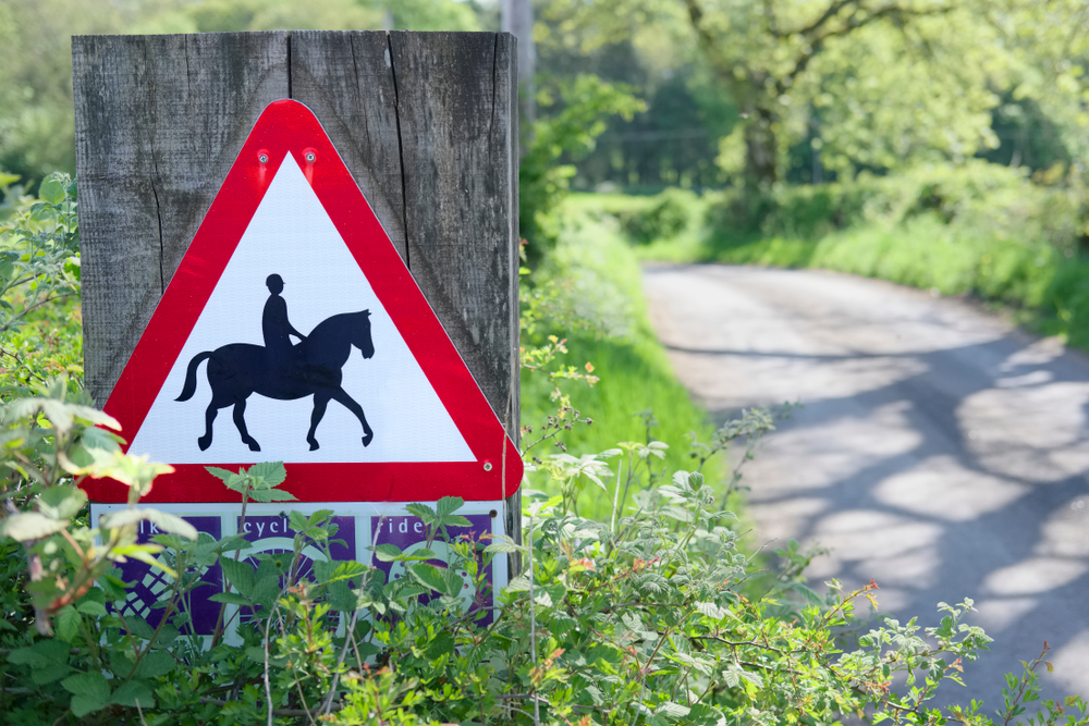 Horse riders and dog attacks – what does the law say? banner
